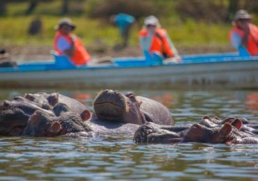 Hippopotamus-Lake-Naivasha