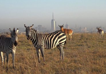 Nairobi-National-Park