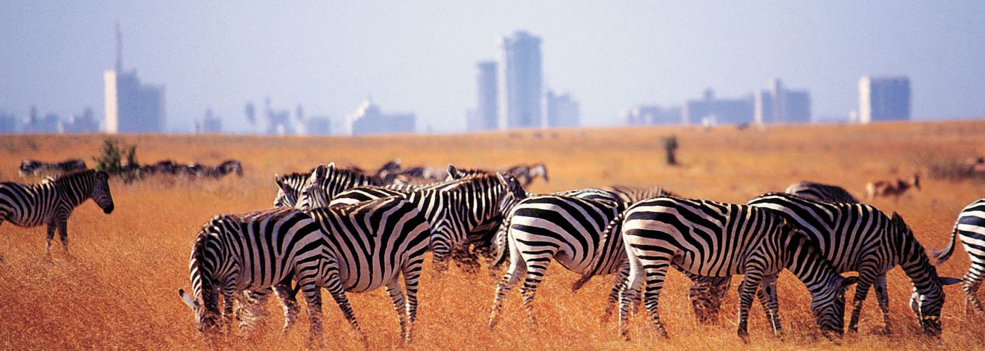 Nairobi-National-Park