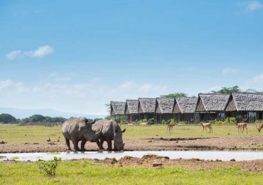 Ol Pejeta Wildlife Conservancy Wildlife