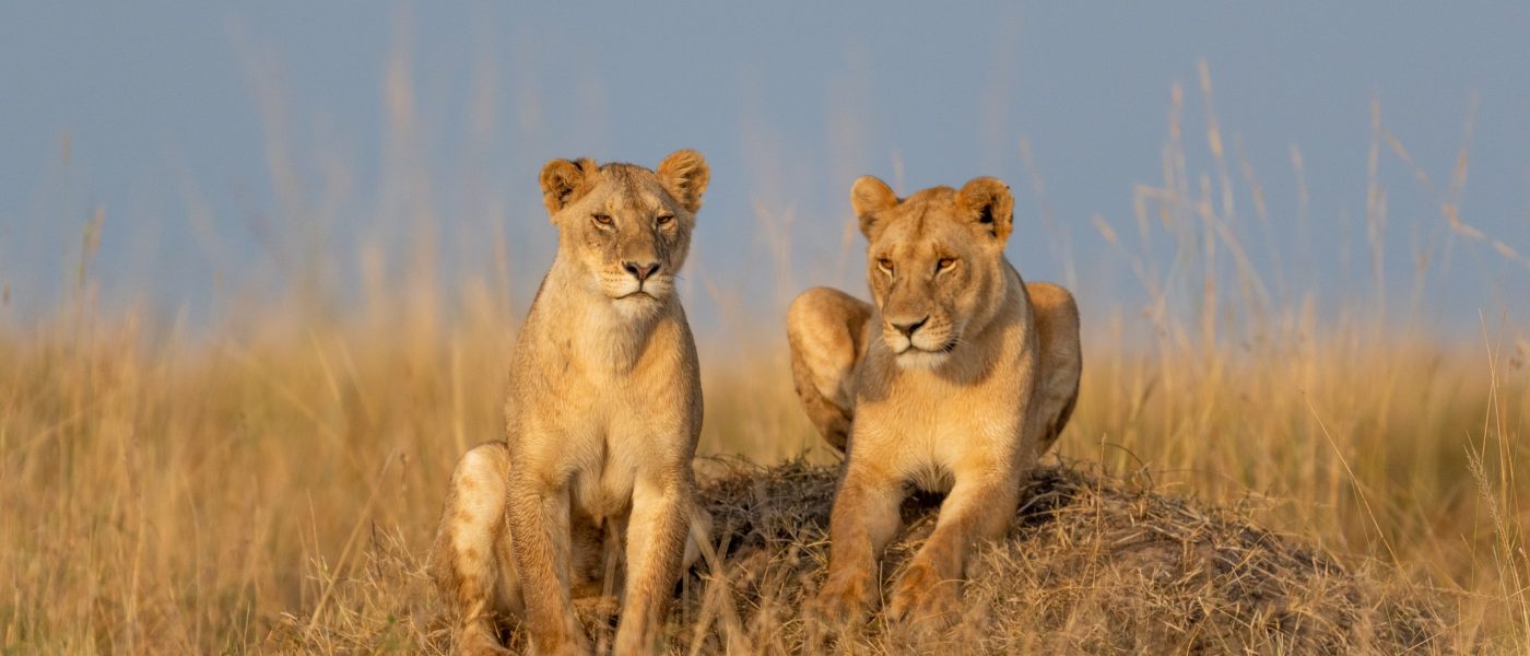 kenya-classic-safari