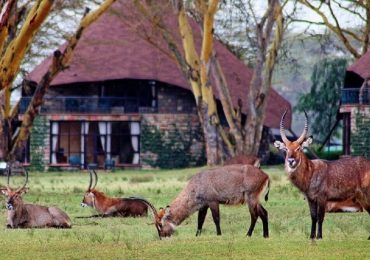 kenya-lake-naivasha-lodge