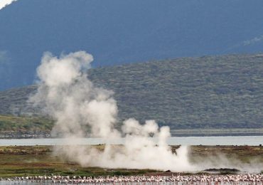 lake-bogoria