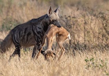 samburu-national-park