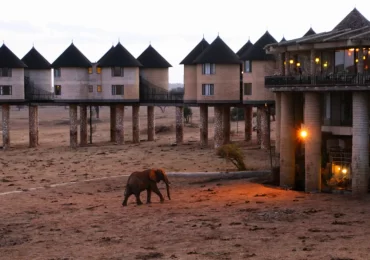 sarova-experience-taita