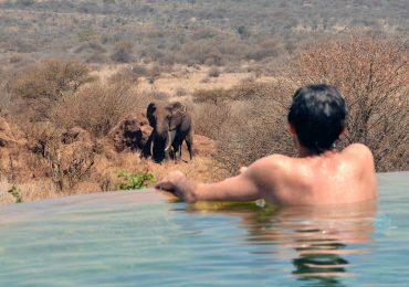 satao-elerai-pool-elephant