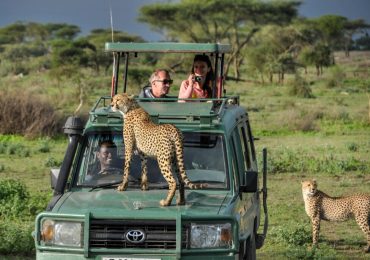 kenya-safari